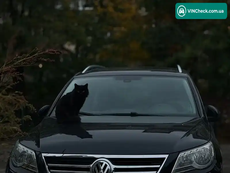 Volkswagen Tiguan 2009, фото з оголошення 2 з 20, VIN WVGZZZ5NZ9W095366