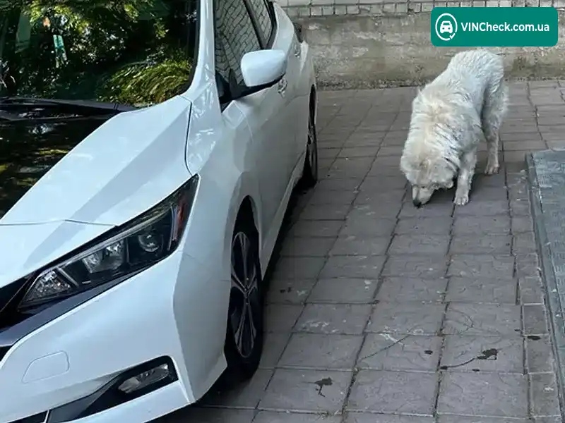 Nissan Leaf 2018, фото з оголошення 2 з 13, VIN 1N4AZ1CP6JC306523