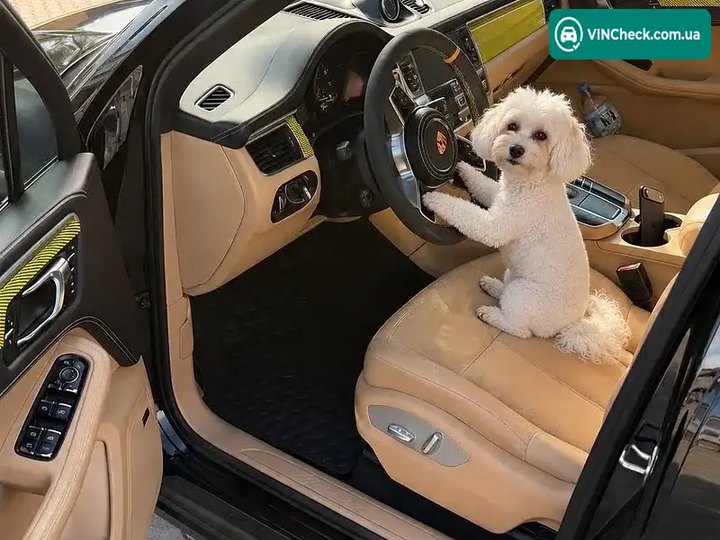 Porsche Macan 2016, фото з оголошення 1 з 19, VIN WP1AA2A53HLB04434