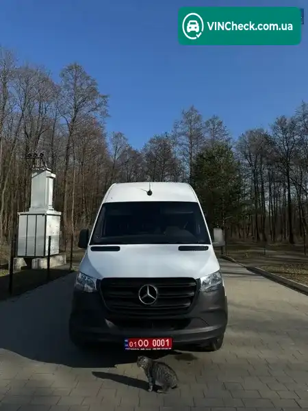 Mercedes-Benz Sprinter 2019, фото з оголошення 2 з 20, VIN WDB9076351P173924