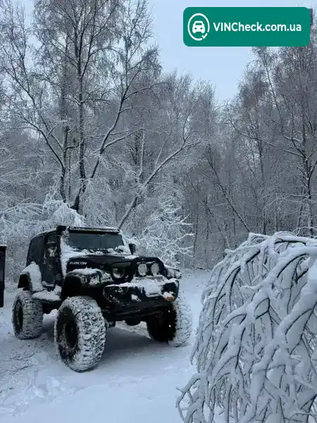 Jeep Wrangler 1993, фото з оголошення 2 з 5, VIN 1J4FY29S4PP229182