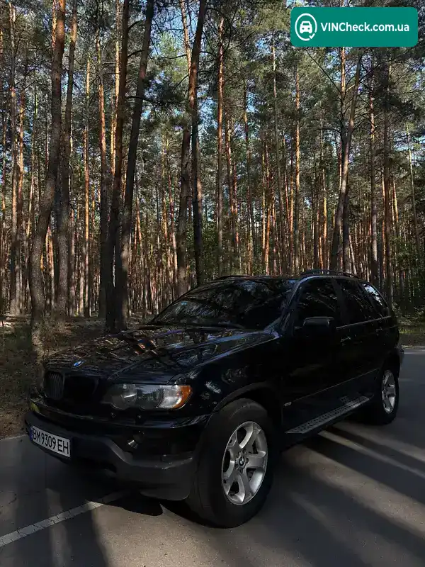 BMW X5 2002, фото з оголошення 2 з 16, VIN WBAFA51090LM35873