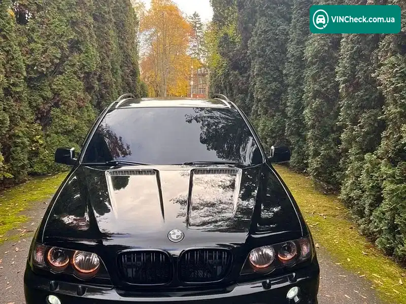 BMW X5 2003, фото з оголошення 2 з 14, VIN WBAFA71020LU88684