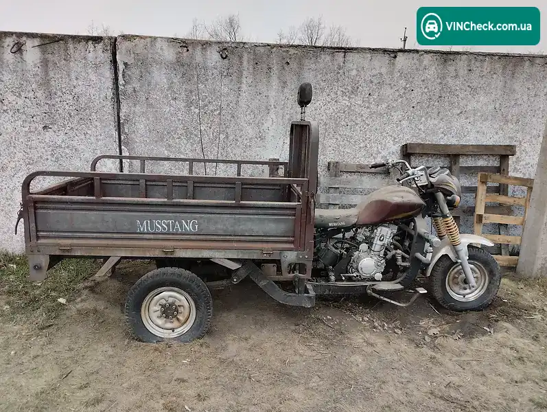 Musstang MT200ZH-4V 2013, фото з оголошення 1 з 20, VIN LMHZDMZ1XD0600017