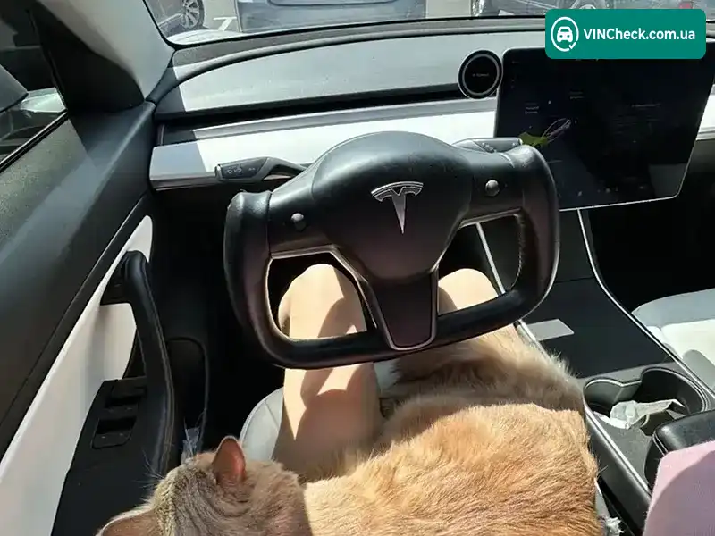 Tesla Model 3 2019, фото з оголошення 1 з 18, VIN 5YJ3E1EA3LF615346